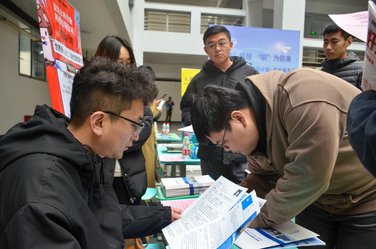 筑梦青春·职引未来——我校成功举办 2024届毕业生即墨区秋季专场校园招聘会 筑梦青春·职引未来——我校成功举办 2024届毕业生即墨区秋季专场校园招聘会