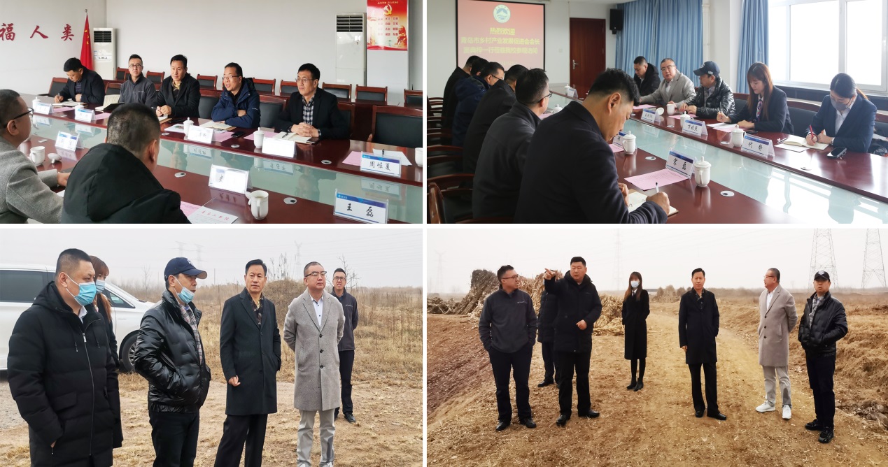 青岛市乡村产业发展促进会窦典梓会长一行应邀来我校调研 青岛市乡村产业发展促进会窦典梓会长一行应邀来我校调研